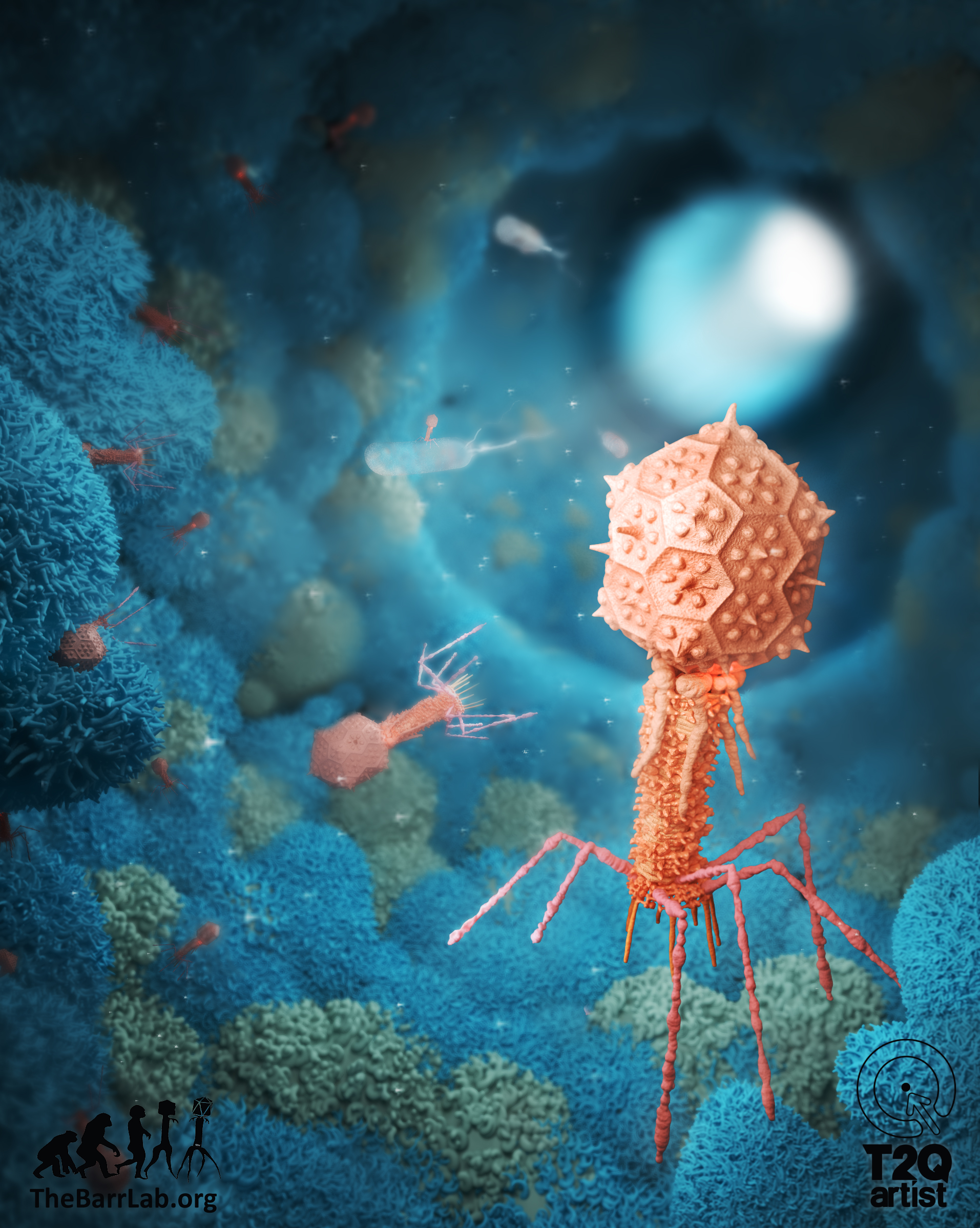 The average human body is estimated to absorb 31 billion bacteriophage particles every single day