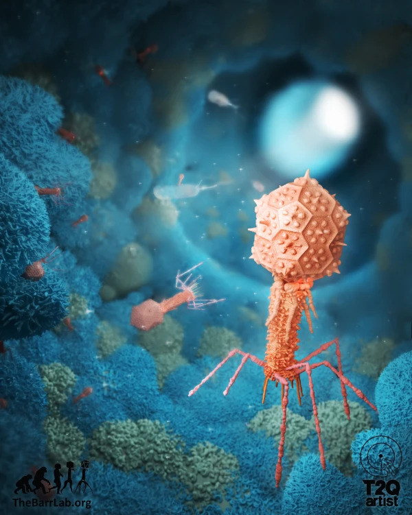 phage image